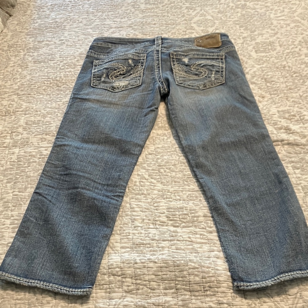 Silver Francis Crops - Picture 6 of 10